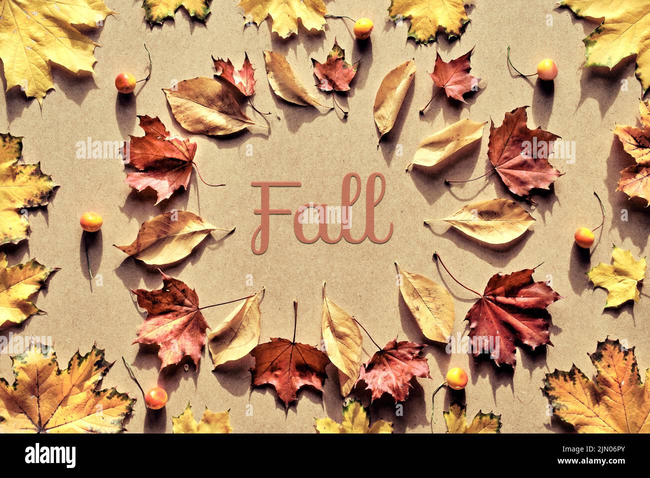 Séchez les feuilles d'aluminium et la citrouille sur un fond en carton. Mot automne au centre. Lumière directe du soleil, ombres longues. Banque D'Images