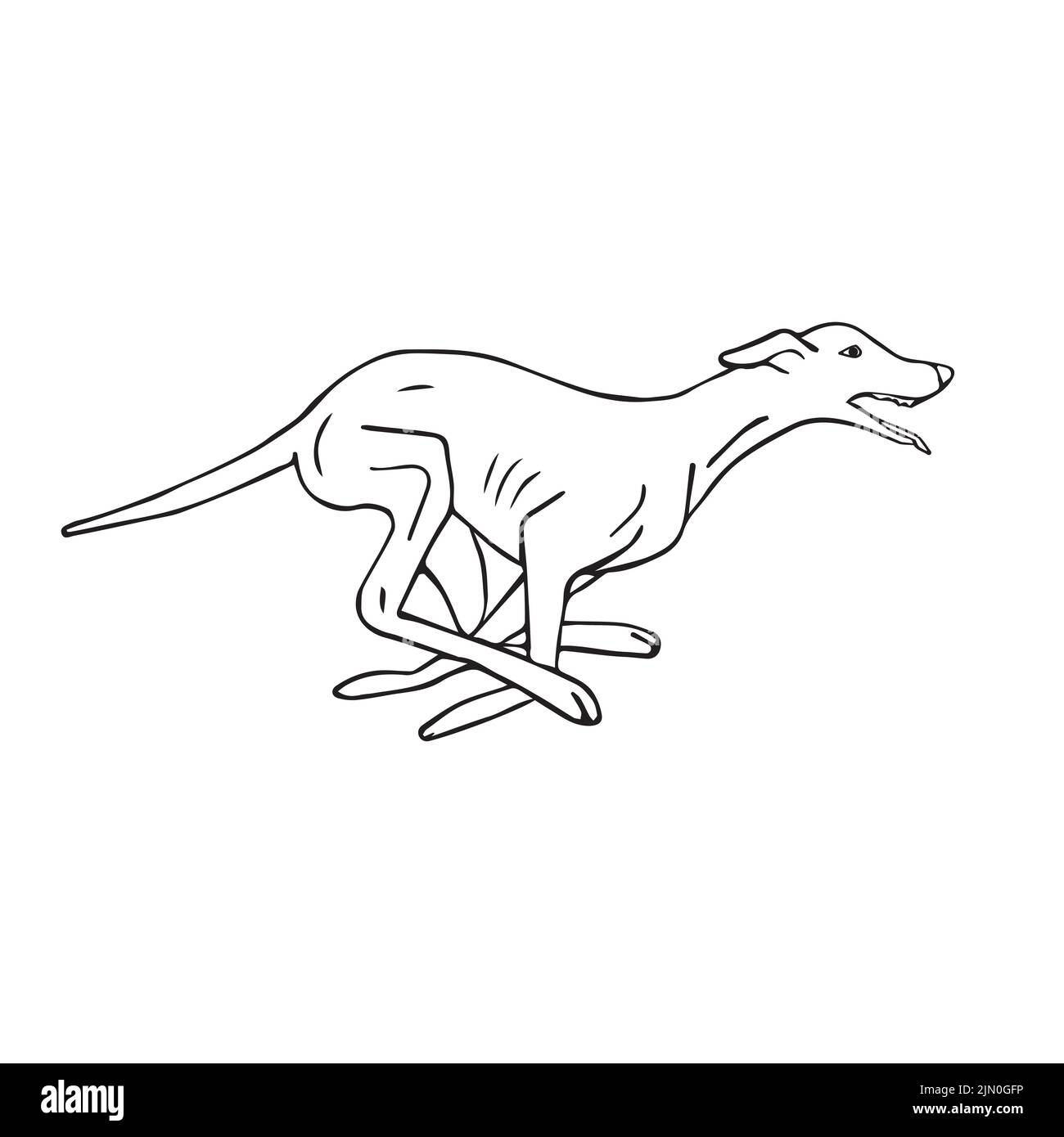 Dessin d'un animal de compagnie à la main Vector Running whippet Dog isolé sur fond blanc Illustration de Vecteur