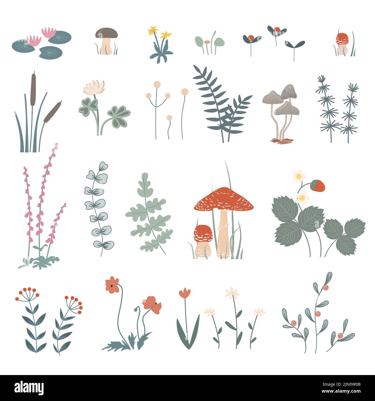 Herbes et fleurs de forêt, ensemble d'éléments floraux. Les plantes et les champignons dessinés à la main sont des éléments de conception isolés Illustration de Vecteur