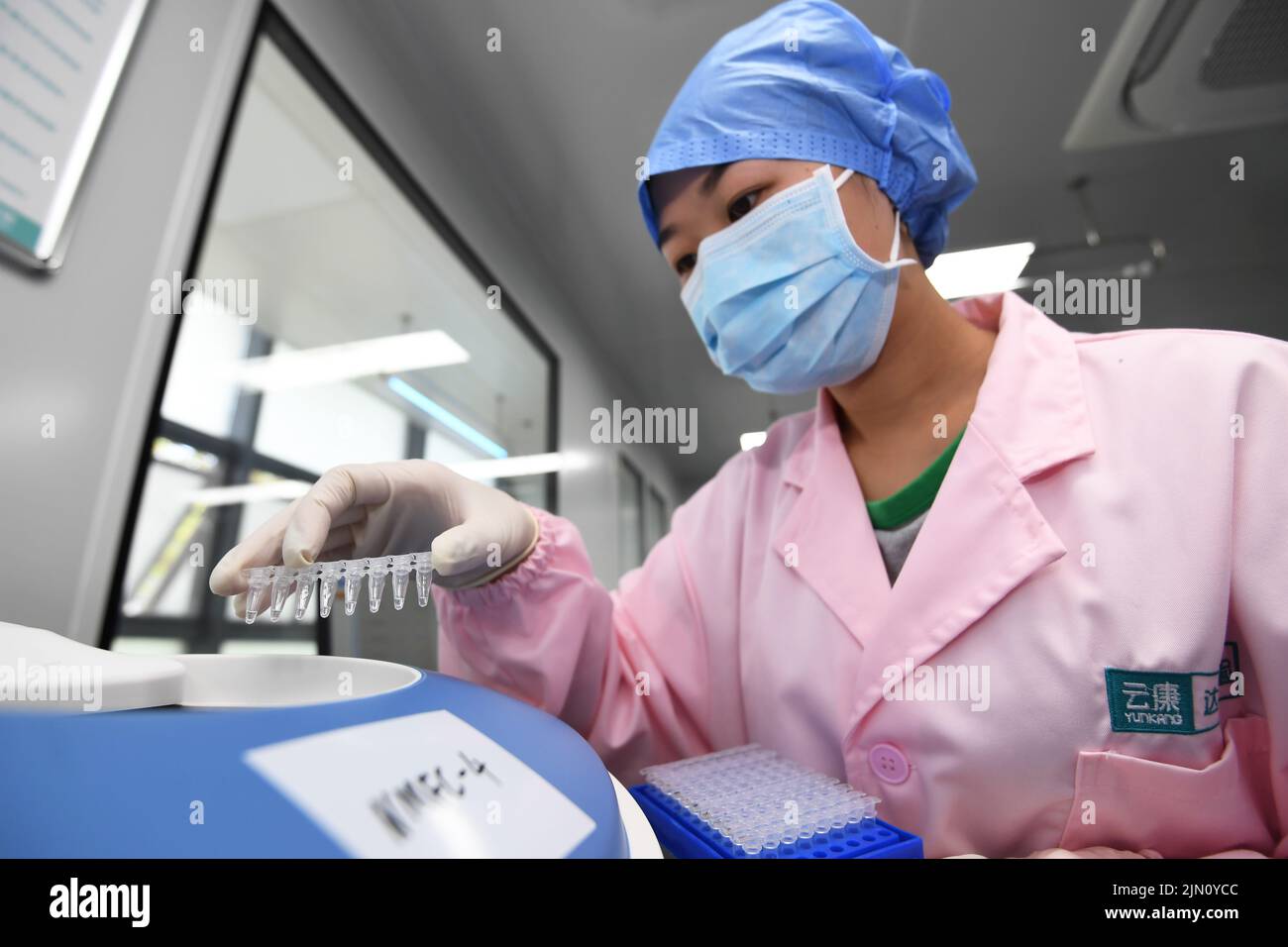 GUIYANG, CHINE - le 8 AOÛT 2022 - Un travailleur de laboratoire utilise un dispositif PCR pour amplifier les acides nucléiques à Guiyang, province de Guizhou, Chine, le 8 août 2022. Banque D'Images