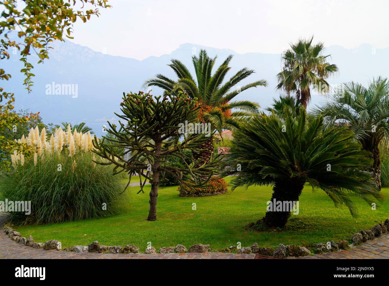 Un jardin méditerranéen verdoyant dans la ville de Limone sul Garda sur le lac de Garde avec les montagnes en arrière-plan en Italie (Lombardie, Italie) Banque D'Images