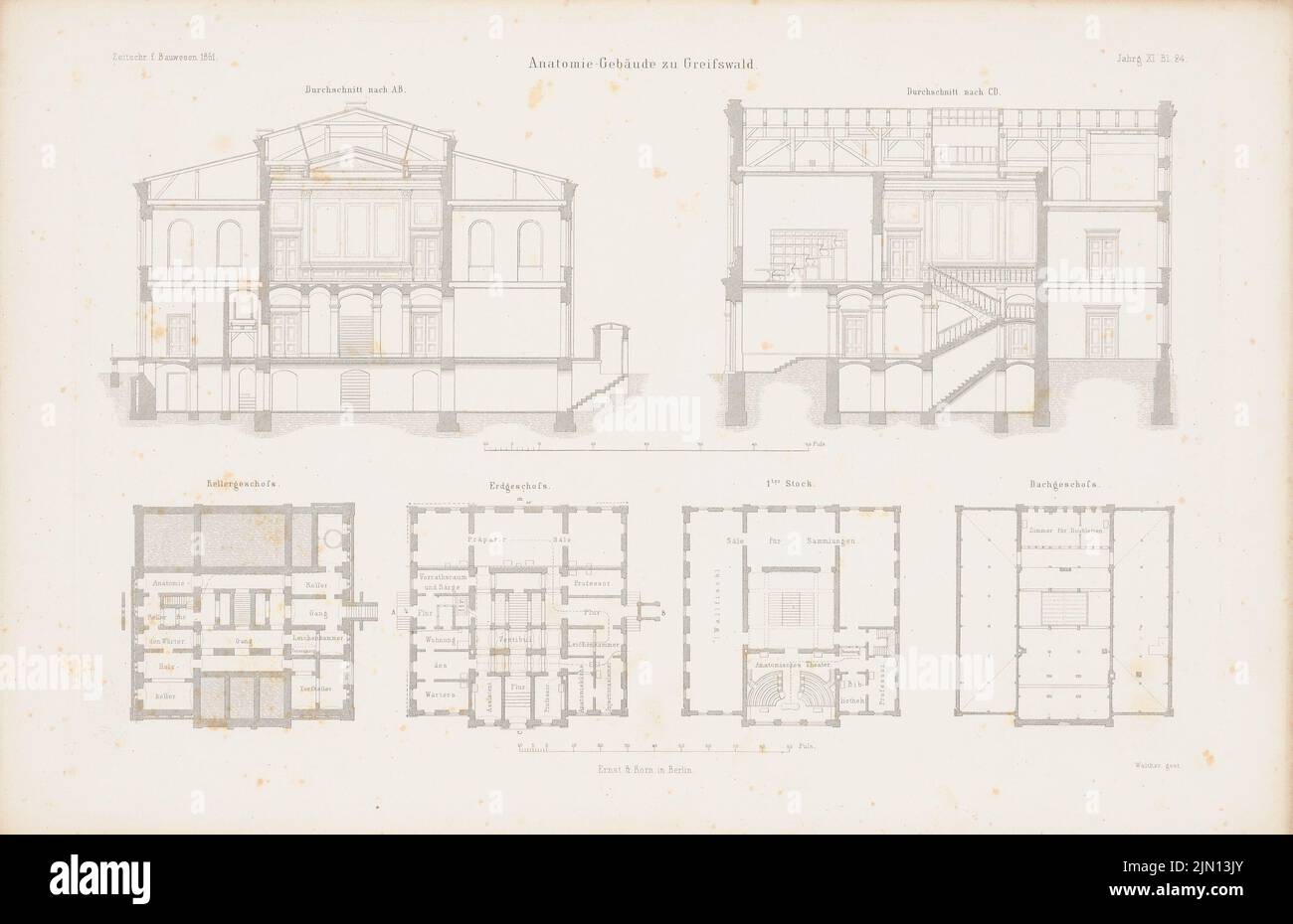 N.N., Anatomie, Greifswald. (De : Atlas au magazine for Building, éd. V. G. Erbkam, JG. 11, 1861.) (1861-1861): Grundliss Keller, EG, 1st plancher, toit, coupe A B, Couper le papier C D. Stich up, 29,4 x 45,5 cm (y compris les bords de numérisation) N. : Universität Greifswald. Anatomie-Gebäude. (AUS: Atlas zur Zeitschrift für Bauwesen, hrsg. V. G. Erbkam, JG. 11, 1861) Banque D'Images