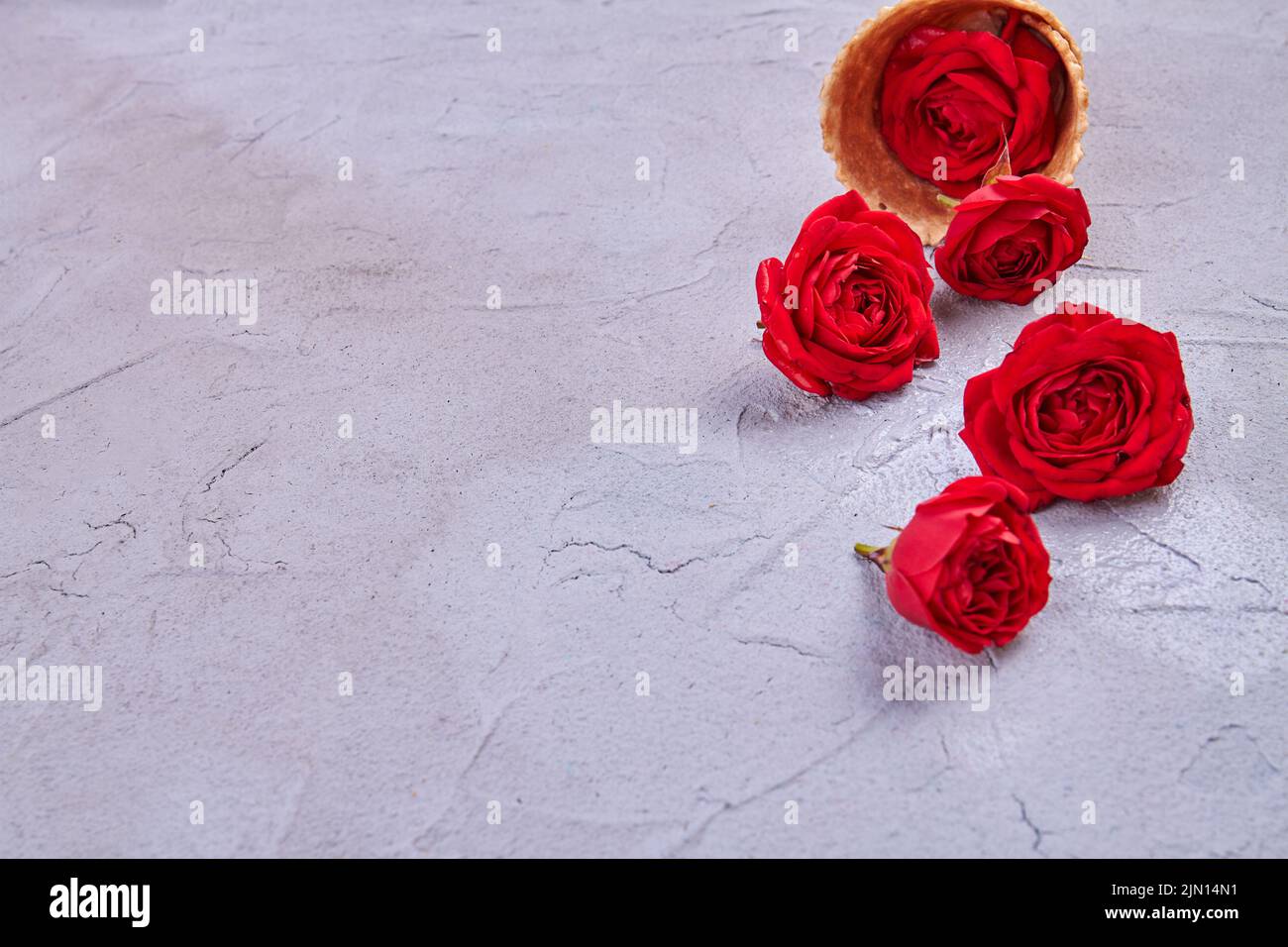 Fleurs de rose rouge et espace de copie sur la surface de mastic. Concept Saint Valentin et amour. Banque D'Images