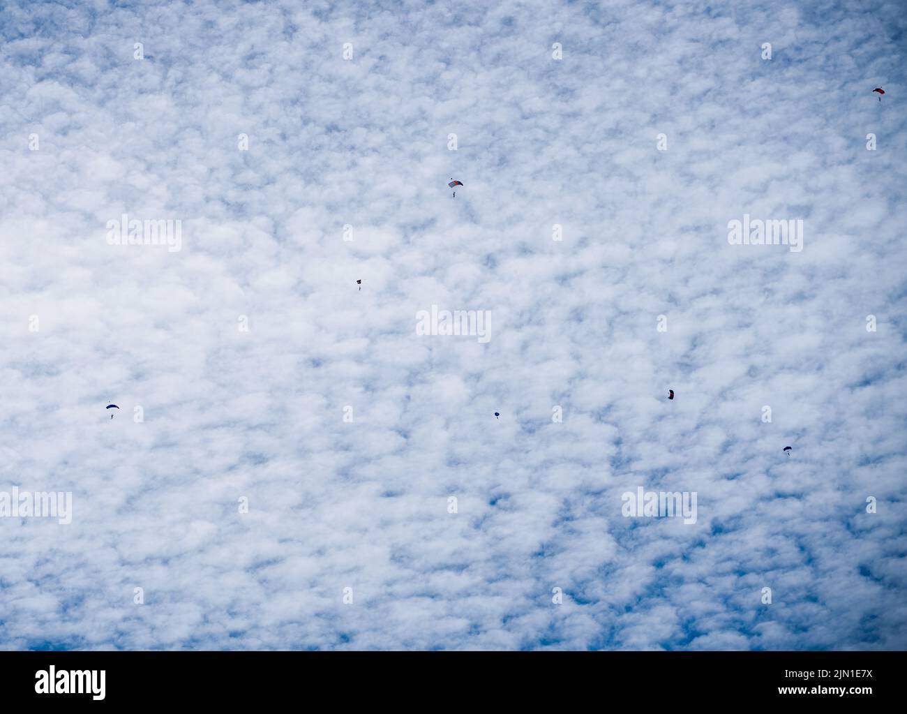 L'équipe d'exposition de parachutistes de Red Devil avec fond de nuage blanc cassé lors d'un saut en haute altitude de 12 000 pieds de pratique Banque D'Images