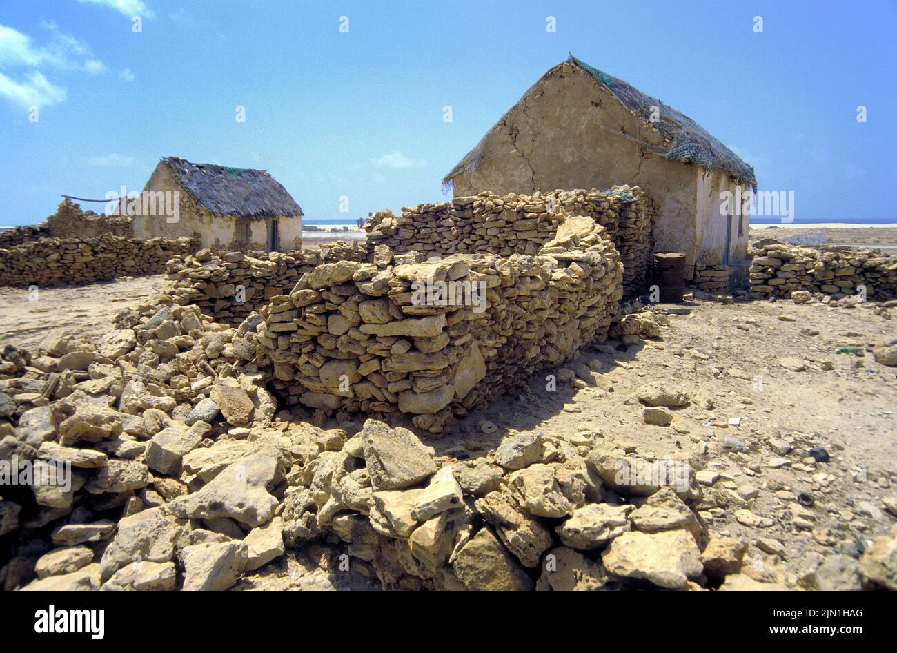 Ruine der ehemaligen Ziegelfabrik BEI Rabil, Sandduene mit junger Palme, Boavista, Kapverden, Afrika | ruine de l'ancien champ de briques, Fabrica da Chad Banque D'Images