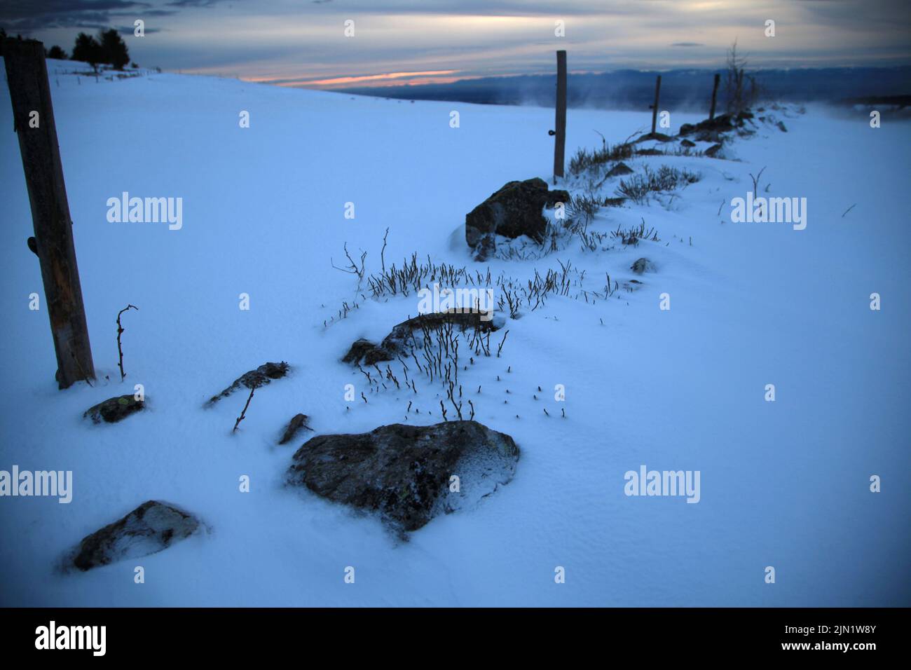 Paysage d'hiver à la forêt noire, Allemagne Banque D'Images