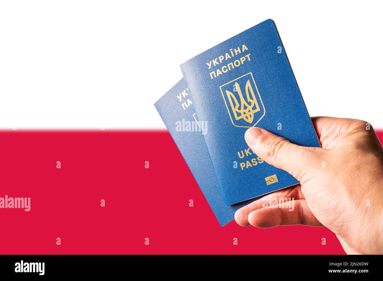 Deux passeports biométriques ukrainiens dans la main d'un homme contre le drapeau national de la Pologne. Voyages, tourisme, réfugiés, guerre en Ukraine, bu Banque D'Images