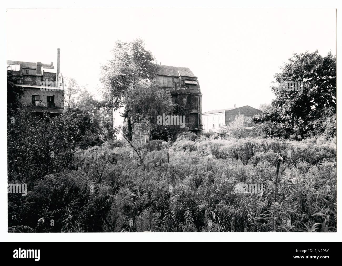 Photographe inconnu : site nord de l'Université technique de Berlin Banque D'Images