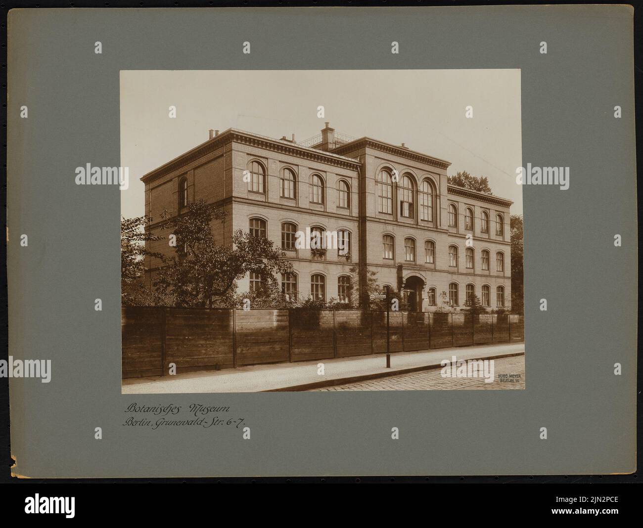 Zatrau (1837-1899) : Musée botanique, Grunewaldstraße 6-7, Berlin-Schöneberg Banque D'Images