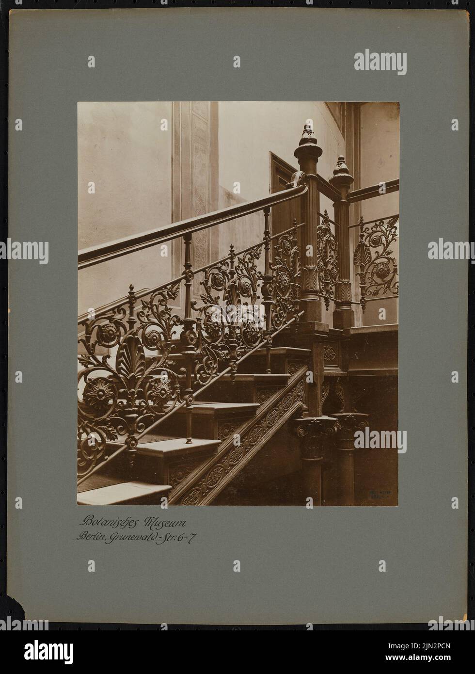 Zatrau (1837-1899) : Musée botanique, Grunewaldstraße 6-7, Berlin-Schöneberg Banque D'Images