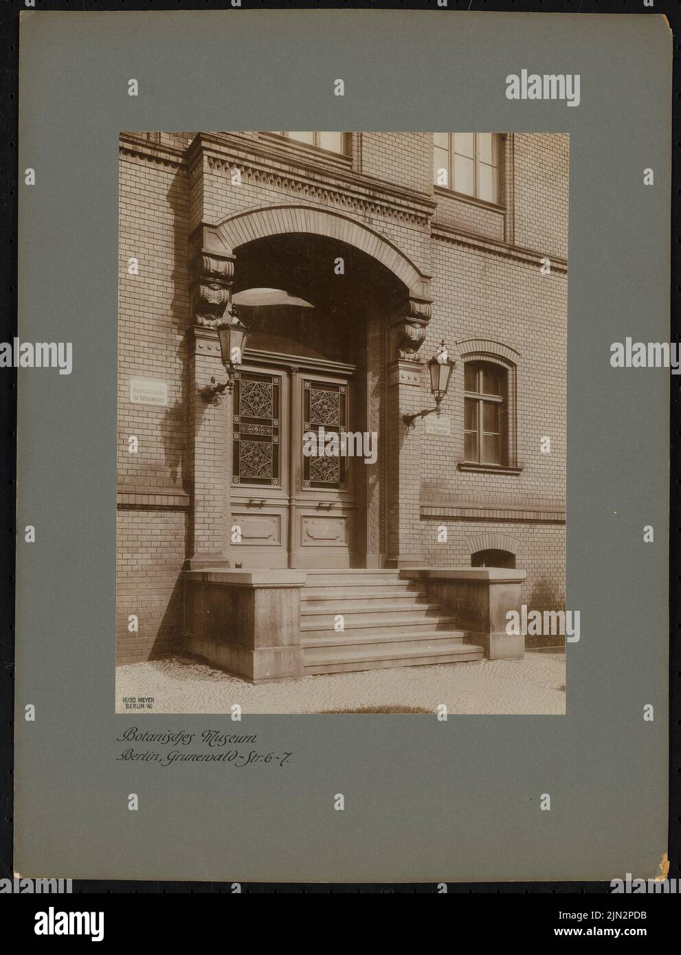 Zatrau (1837-1899) : Musée botanique, Grunewaldstraße 6-7, Berlin-Schöneberg Banque D'Images