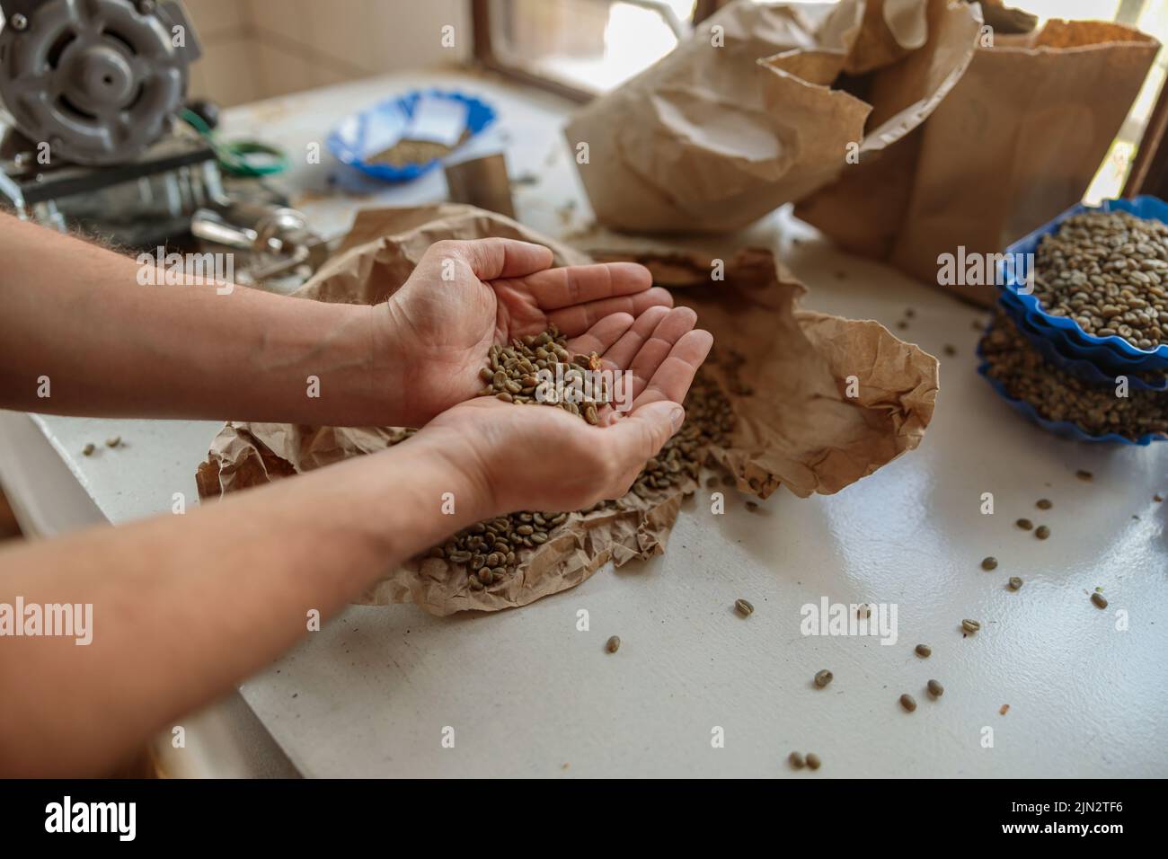 Mains de sexe masculin tenant les grains de café dans les paumes pour la dégustation Banque D'Images