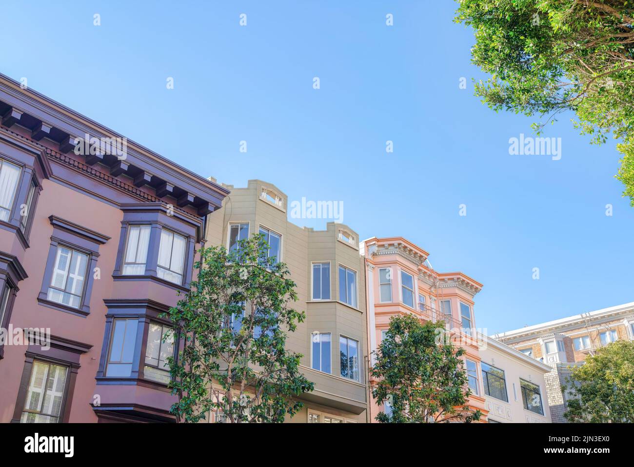 Maisons de ville victoriennes avec arbres à l'avant de San Francisco, Californie. Il y a une rangée de maisons de ville avec des baies vitrées contre le fond clair du ciel Banque D'Images