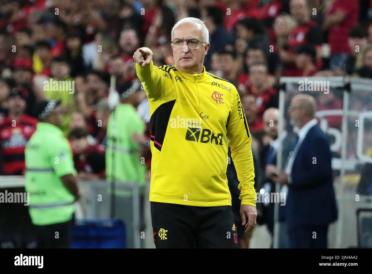 Rio de Janeiro, Brésil, 30 juillet 2022. Entraîneur de football Dorival Junior de l'équipe de flamengo, pendant le jeu Flamengo x Atlético-GO pour le Champio brésilien Banque D'Images