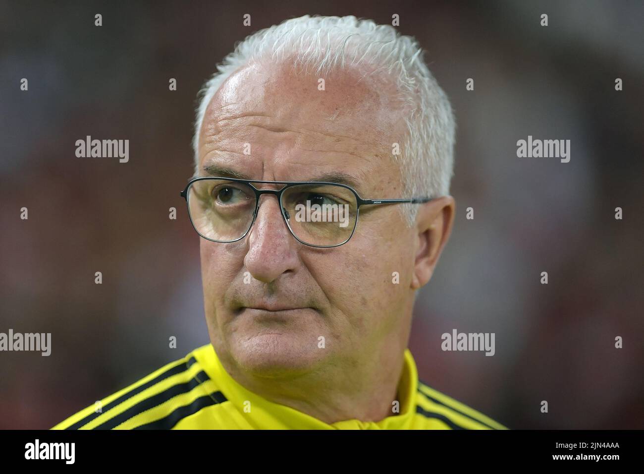 Rio de Janeiro, Brésil, 30 juillet 2022. Entraîneur de football Dorival Junior de l'équipe de flamengo, pendant le jeu Flamengo x Atlético-GO pour le Champio brésilien Banque D'Images