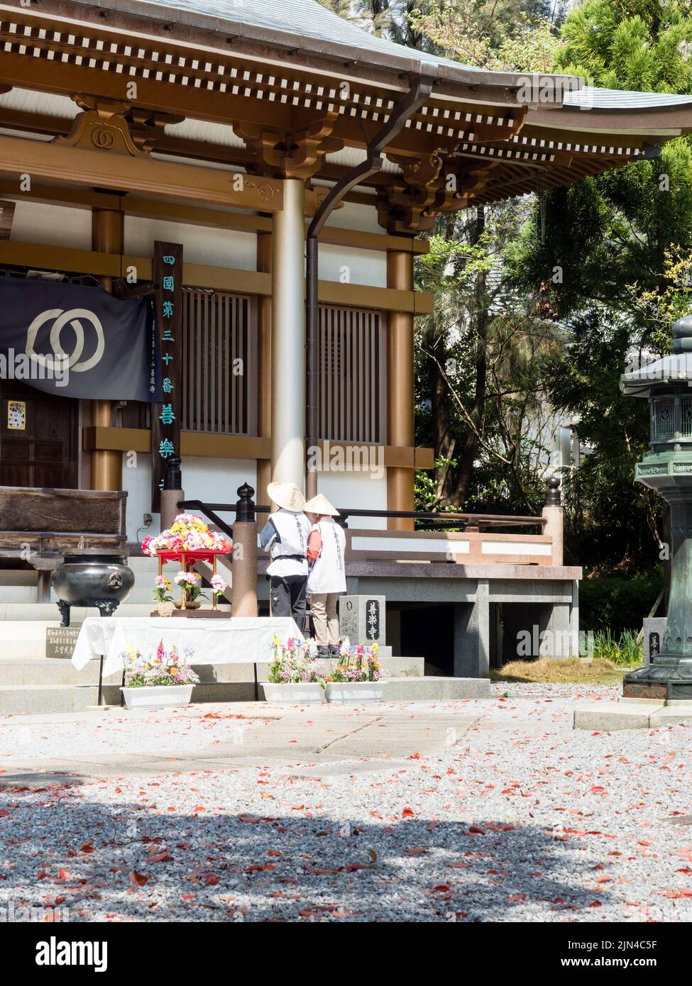 Kochi, Japon - 6 avril 2018 : sur le terrain de Zenrakuji, temple numéro 30 du pèlerinage de Shikoku Banque D'Images