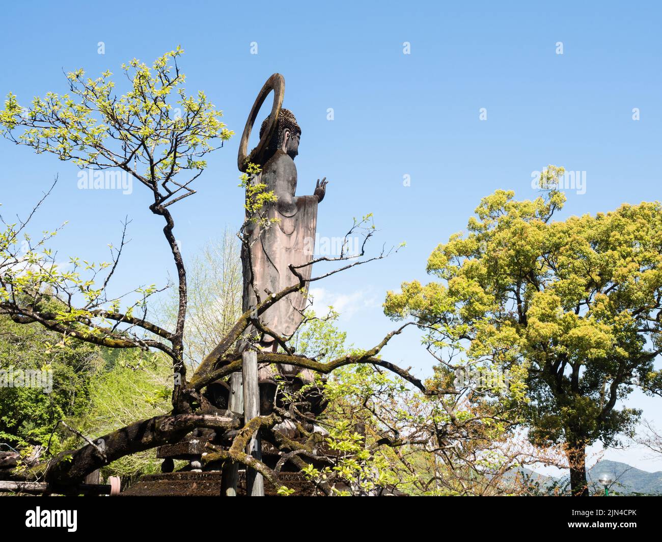 Kochi, Japon - 7 avril 2018 : sur le terrain de Kiyotakiji, temple numéro 35 du pèlerinage de Shikoku Banque D'Images