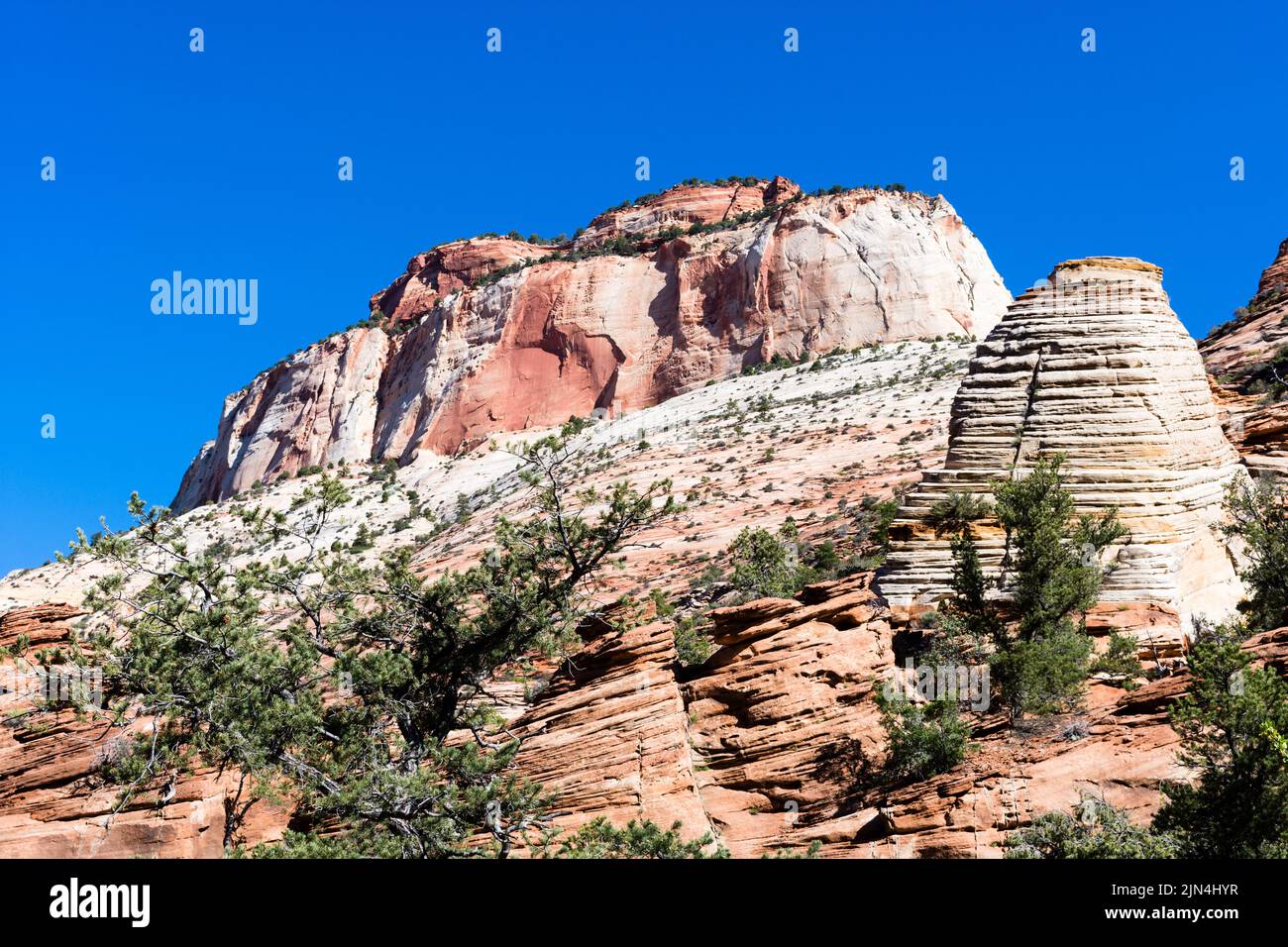 Vue sur le Temple est depuis Canyon, vue sur le point de vue - parc national de Zion, Utah, États-Unis Banque D'Images