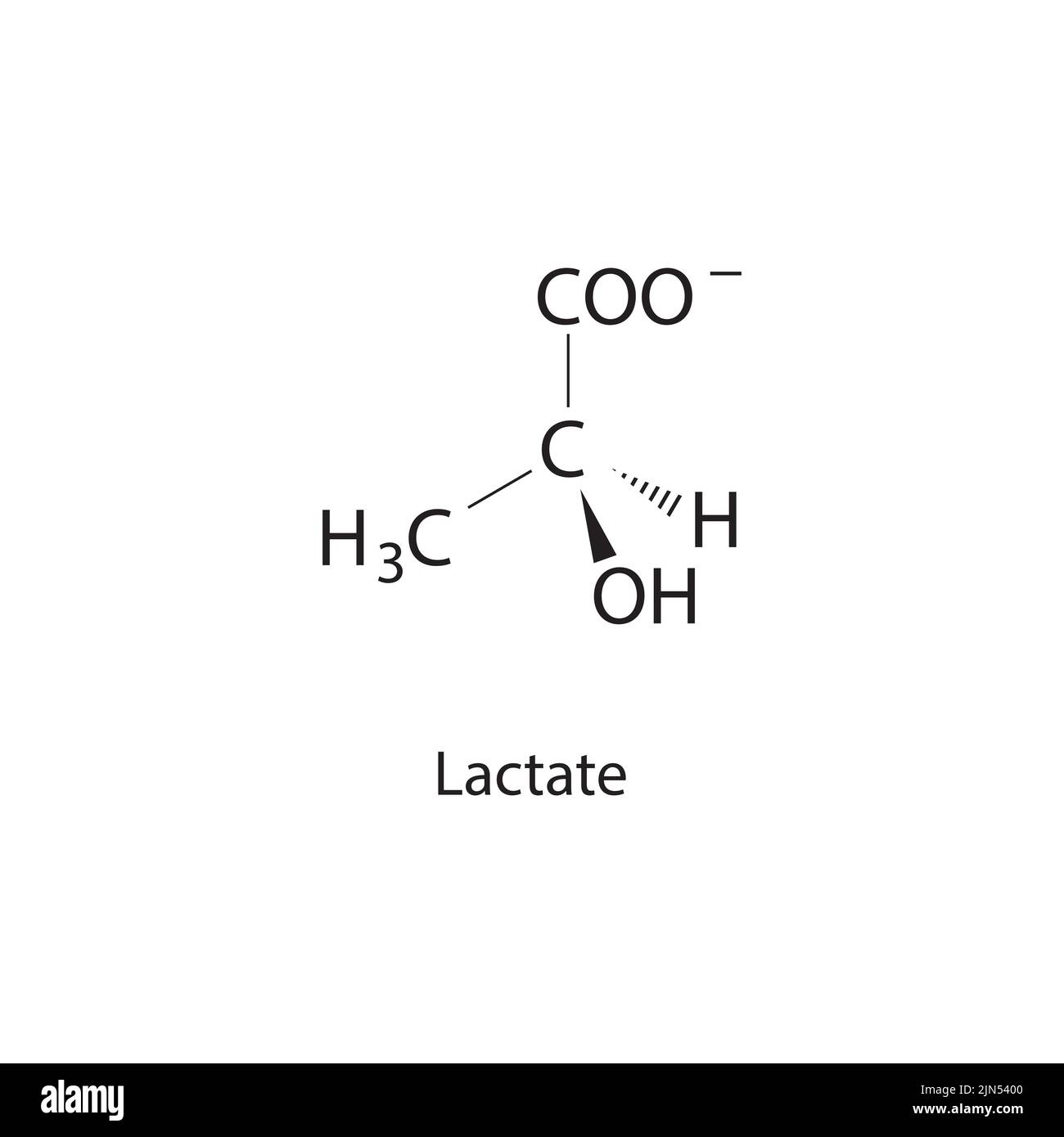 Structure chimique du lactate sur fond blanc. Illustration de Vecteur