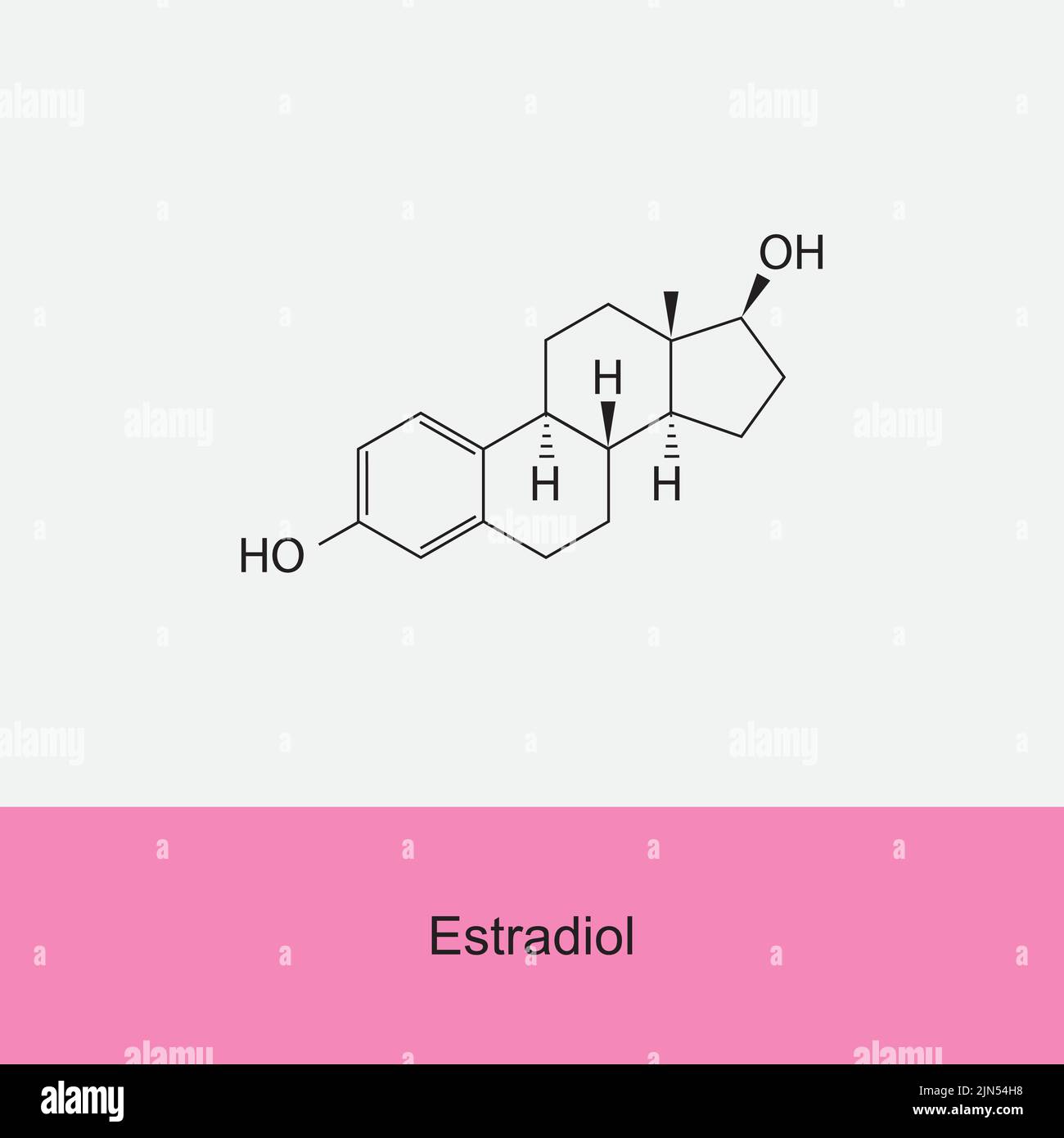 Structure moléculaire de l'hormone de l'estradiol sur fond blanc. Illustration vectorielle. Illustration de Vecteur