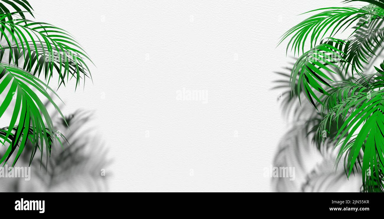 Effet d'ombre de feuilles de palmier vert sur fond blanc. Espace de copie vide. Le motif de pose à plat vectoriel recouvre 3D feuilles tropicales rendues. Présentation Banque D'Images