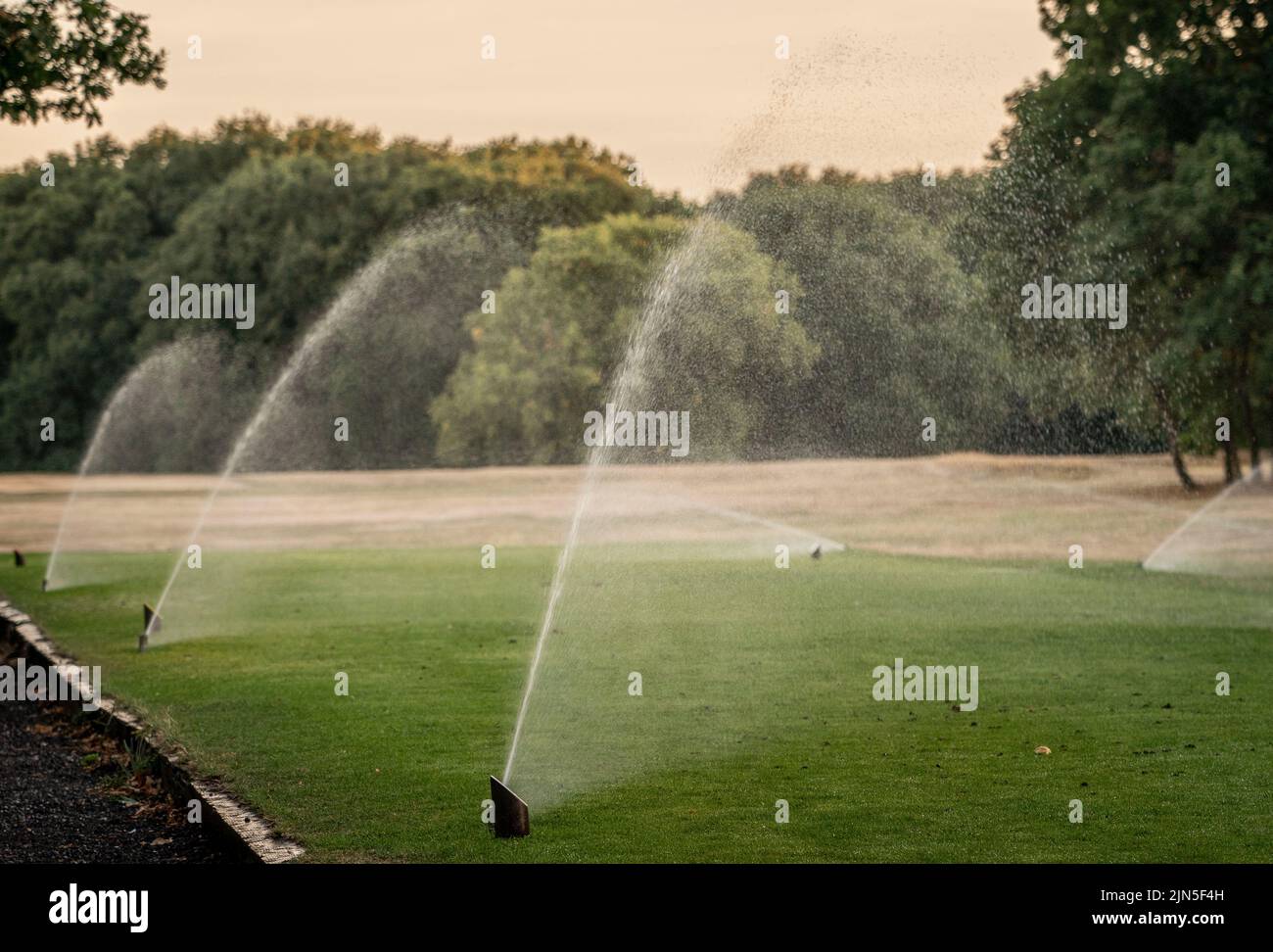 SECHOWDECHE LONDON © Jeff Moore les arroseurs sont utilisés sur un parcours de golf à Wanstead, dans l'est de Londres. Une interdiction des hospipe pourrait être en route pour certaines parties de Londres comme Banque D'Images