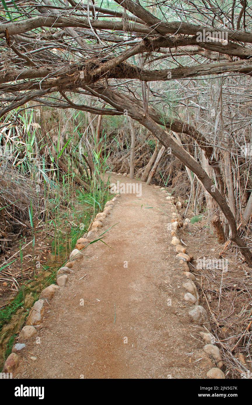 Jordanie, Béthanie, site de Béthanie sur les rives du Jourdain, lieu où