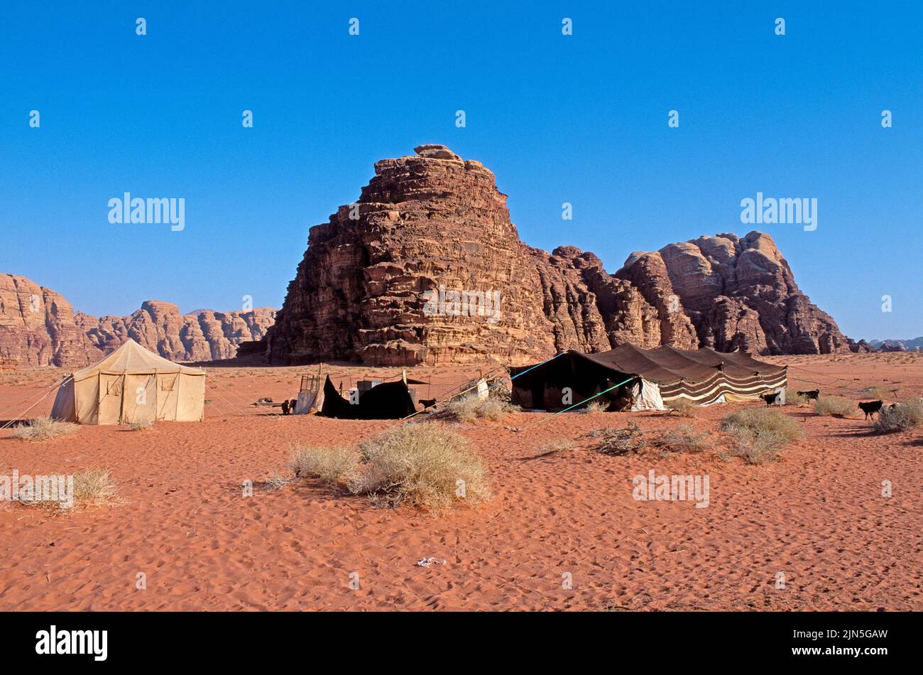 Jordanie, Wadi Rum, tente bédouine Banque D'Images