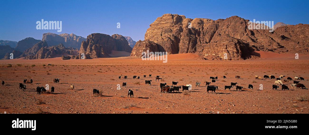 Jordanie, désert de Wadi Rum Banque D'Images