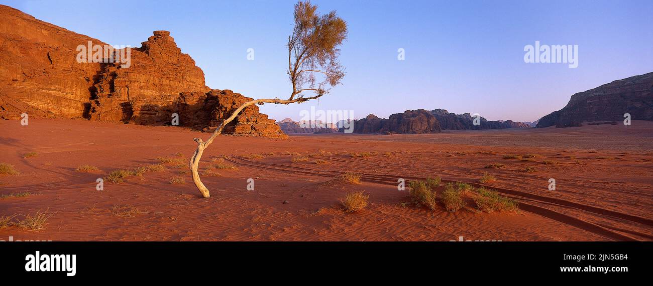 Jordanie, désert de Wadi Rum Banque D'Images