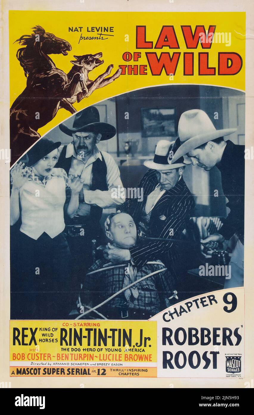 Affiche de film vintage - Rex King of Wild Horses and Rin-Tin-Tin - Law of the Wild (Mascot, 1934). Chapitre 9 - 'Robbers' Roost.' Banque D'Images