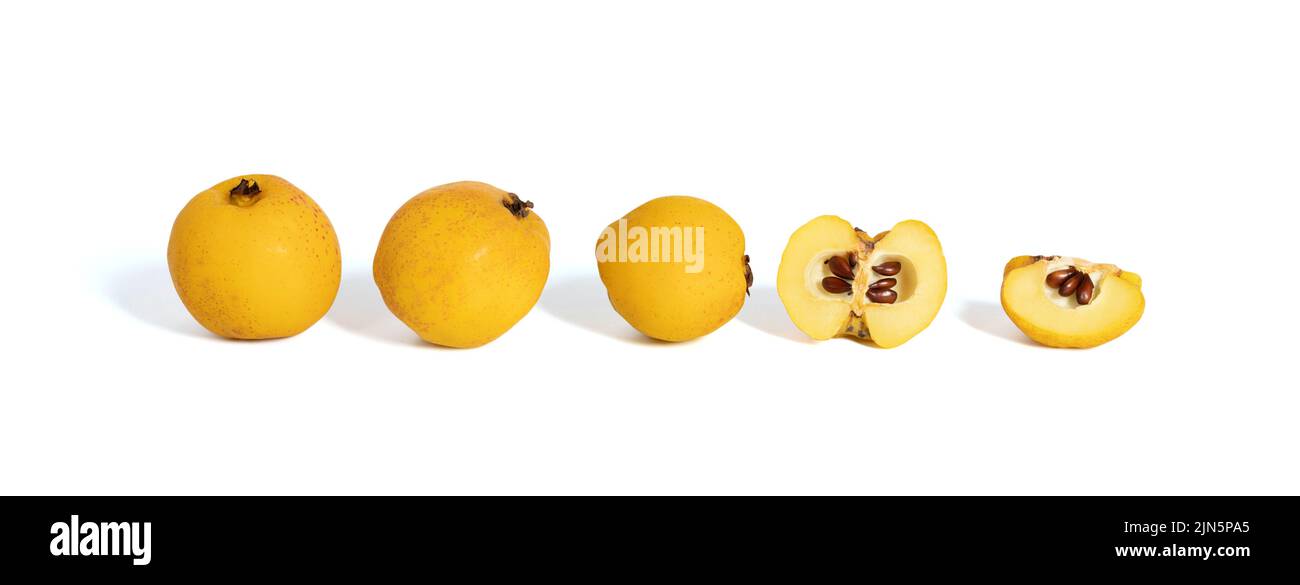Ensemble de coings isolé sur fond blanc. Gros plan de coing frais entier et en tranches. Collection de fruits. Bannière. Banque D'Images