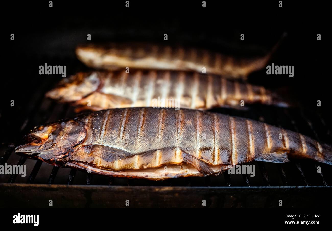 Truite arc-en-ciel fumée sur barbecue. Banque D'Images