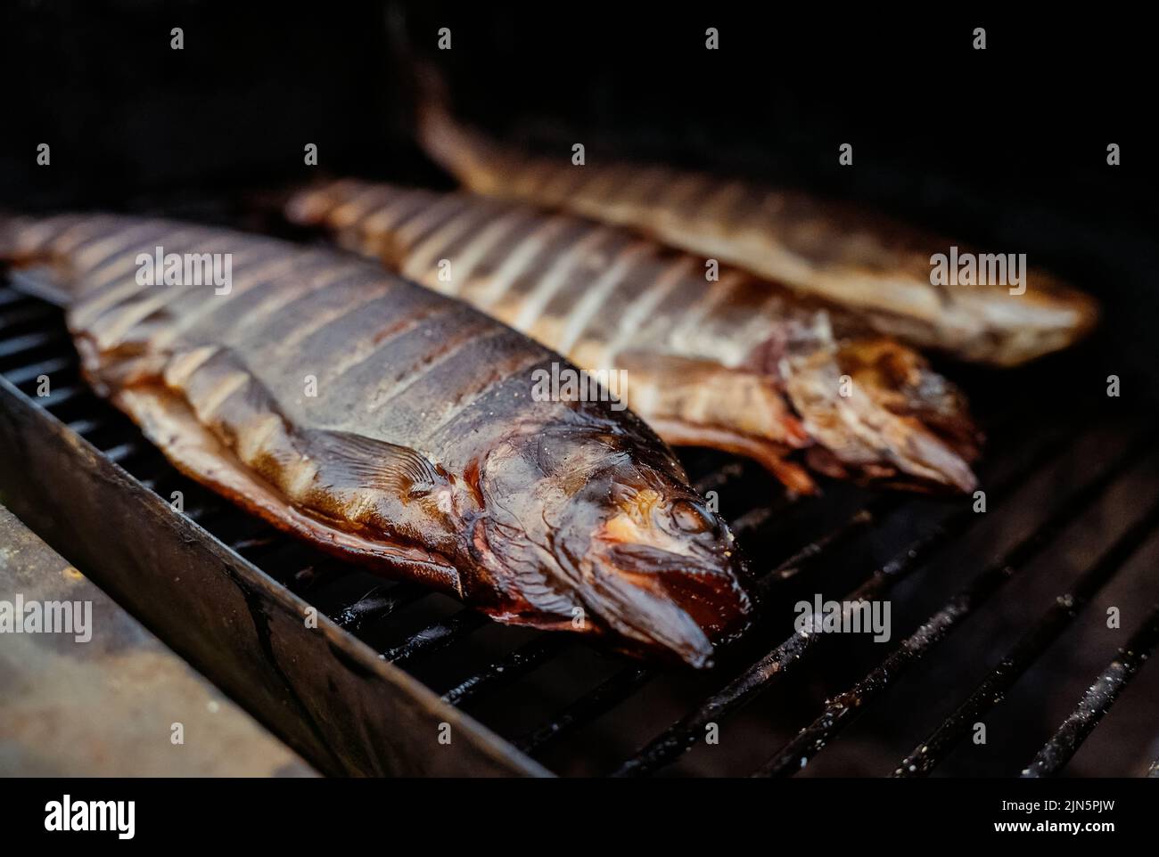 Truite arc-en-ciel fumée sur barbecue. Banque D'Images