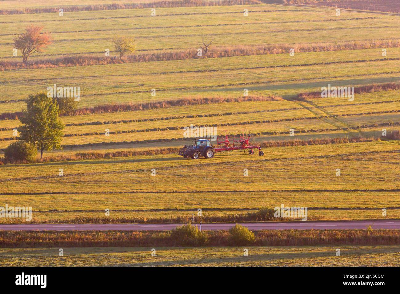 Tracteur avec une faneuse sur le terrain Banque D'Images