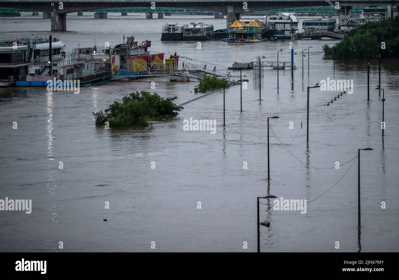 SÉOUL, le 9 août 2022 (Xinhua) -- Un parc est inondé par les eaux de crue à Séoul, Corée du Sud, le 9 août 2022. Huit personnes ont été tuées et six autres ont disparu alors que la région métropolitaine de Corée du Sud a été pilée par de fortes pluies, a déclaré mardi le quartier général des mesures de prévention des catastrophes et de sécurité. Plus de 100 millimètres de pluie par heure ont frappé la capitale Séoul, la ville portuaire occidentale d'Incheon et la province de Gyeonggi, qui entoure Séoul, lundi soir. (NEWSIS via Xinhua) Banque D'Images
