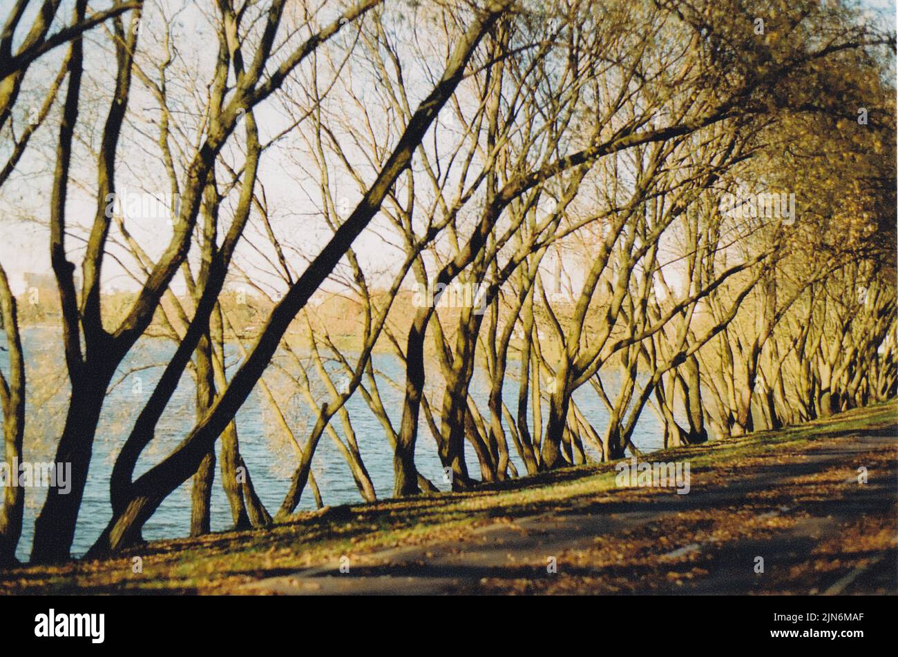 l'automne ronge les arbres sur la rive de la rivière le long de la piste de bycicle Banque D'Images