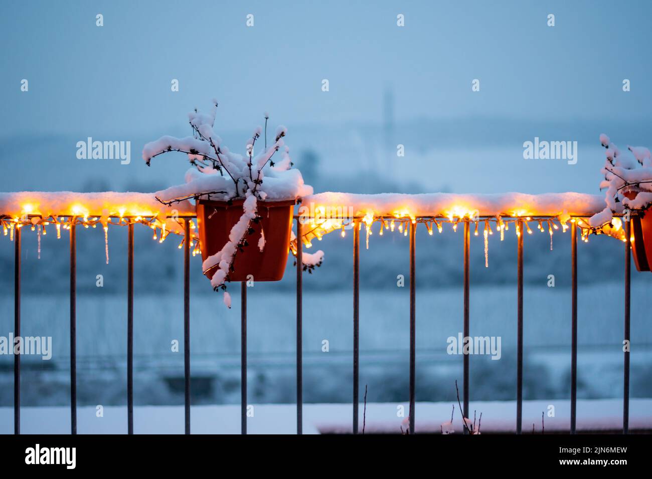 Pot de plantes recouvert de neige avec lumières de noël brillantes. Crépuscule et crépuscule après le coucher du soleil. Temps froid en hiver. Banque D'Images