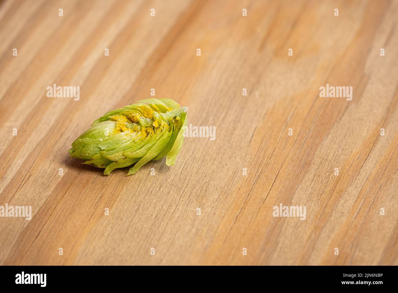 Des houblon crus ont été coupés en deux pour révéler la lupuline jaune à l'intérieur tout en étant allongé sur une planche de bois. Banque D'Images