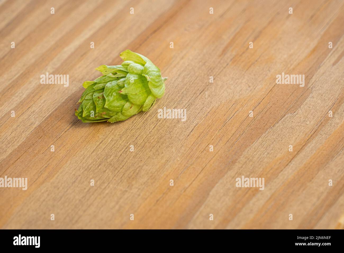 Détail des feuilles de houblon de cône couchée sur une planche en bois. Banque D'Images