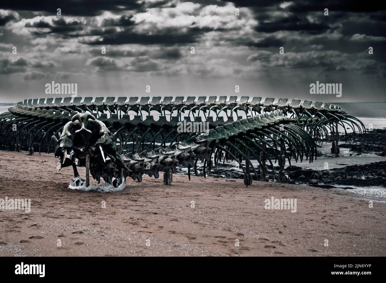 Un squelette d'aluminium géant de serpent sur la plage de Loire, France Banque D'Images