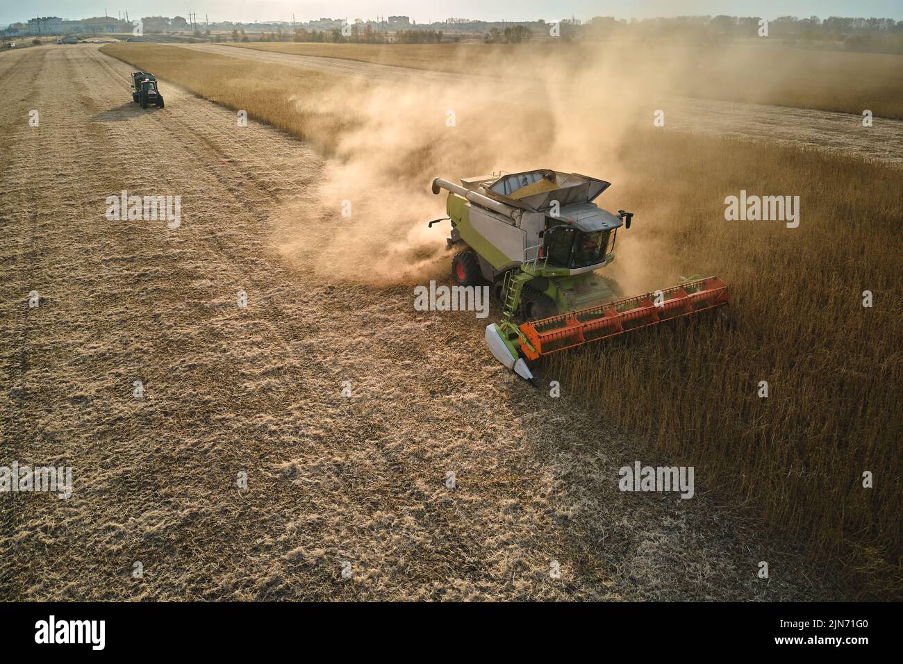 Vue aérienne de la moissonneuse-batteuse travaillant pendant la saison de récolte sur un grand champ de blé mûr. Concept d'agriculture Banque D'Images