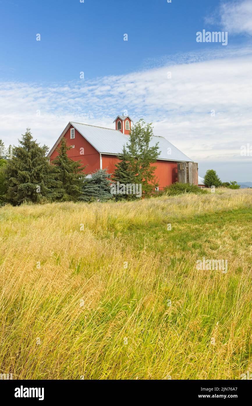 Une grange rouge vif se dresse près d'un champ dans le nord de l'Idaho. Banque D'Images