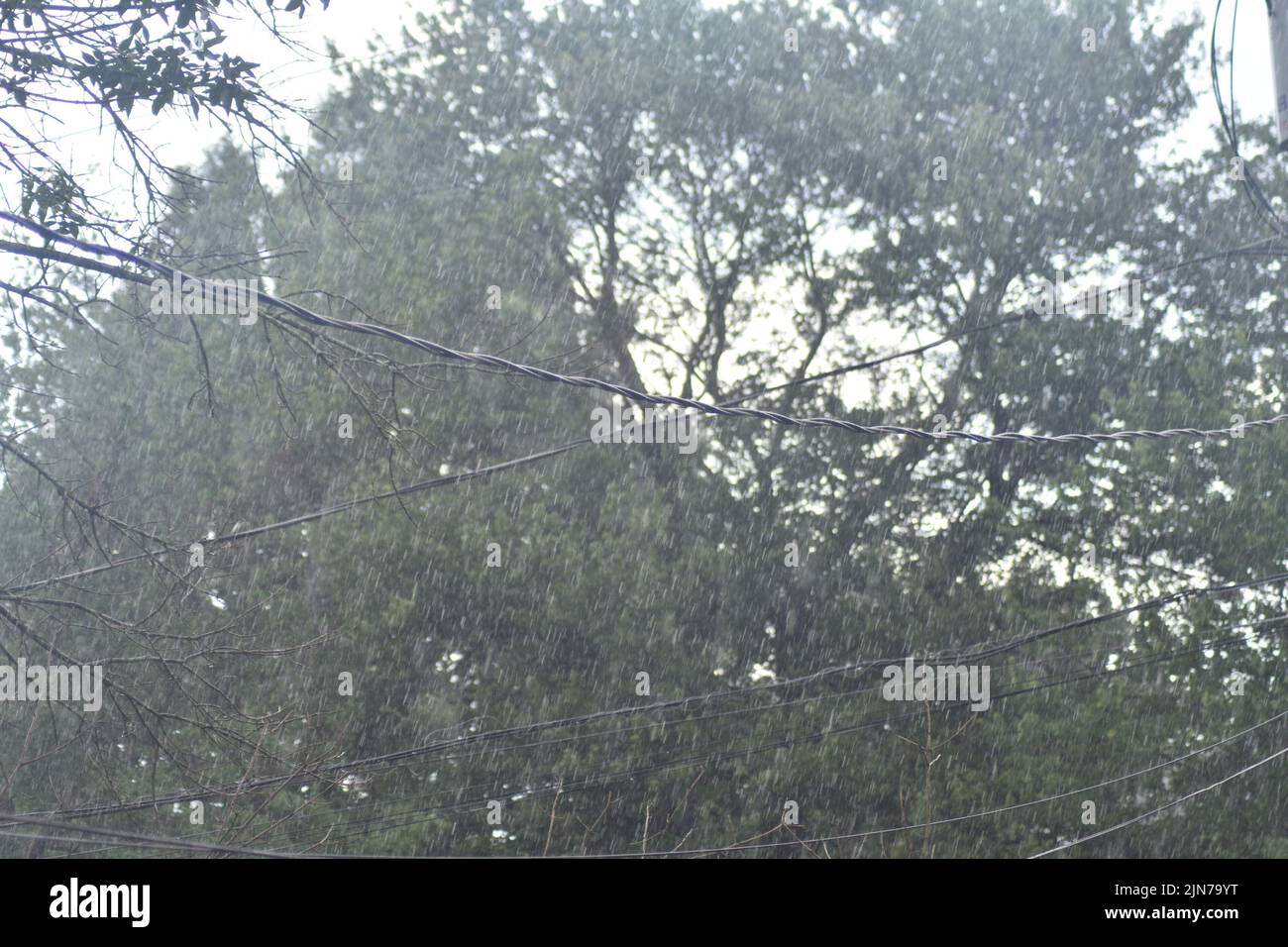 New York, NY, États-Unis. 9th août 2022. (NOUVEAU) orage à New York. 9 août 2022, New York, Etats-Unis: Les pluies de presque partout sur la Terre ont des niveaux dangereux de‚ chimicalsâ‚ â„ â Ëœforever â â©©©s, selon de nouvelles recherches. Les substances per-et poly-fluoroalkyles (PFAS) sont une vaste famille de produits chimiques fabriqués par l'homme qui se‚ produisent dans la nature.„ Ils sont connus sous le nom de‚©Ëœforever©‚©„©‚©„©©©©s en raison du fait qu'ils ne se brisent pas dans l'environnement. Ils ont des propriétés antiadhésives ou anti-taches ainsi peut être trouvé dans les articles ménagers comme l'emballage alimentaire, l'électron Banque D'Images