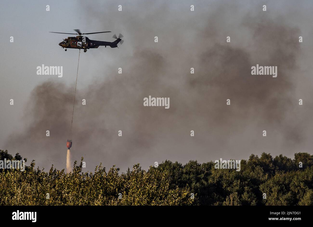 2022-08-09 20:13:51 OUDDORP - les pompiers tentent de combattre un incendie dans la région des dunes près du Brouwersdam. 125 résidents d'un parc de vacances à proximité sont logés dans une salle de sport. Le N57 entre Port Zelande et Ouddorp est également fermé dans les deux directions. ANP JEFFREY GROENEWEG pays-bas hors - belgique hors Banque D'Images