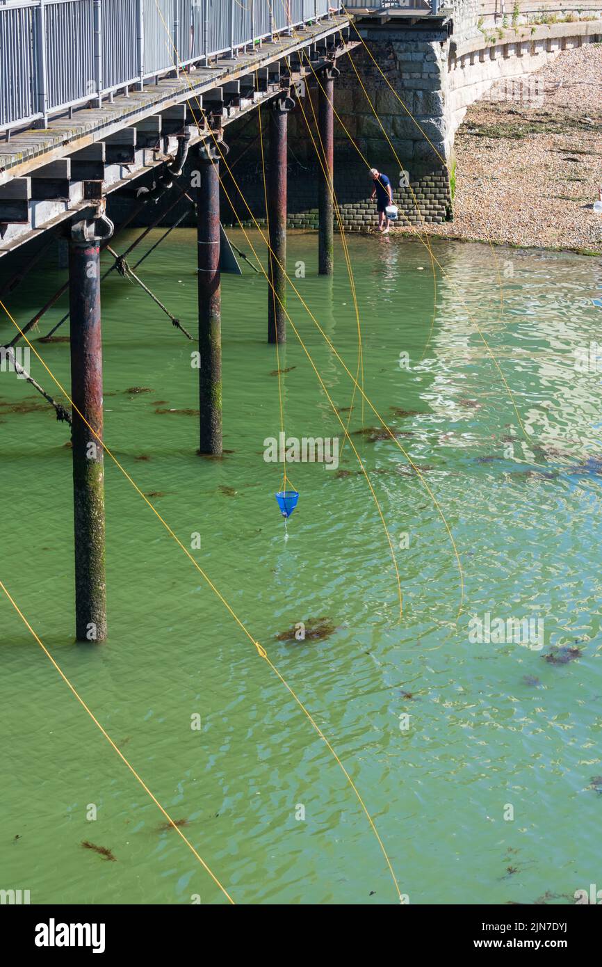 Baie de Herne, Kent, Royaume-Uni - 7 août 2022 : ciel bleu clair et températures chaudes avec des troupeaux de personnes qui essaient sur la côte pendant un week-end d'août. Banque D'Images
