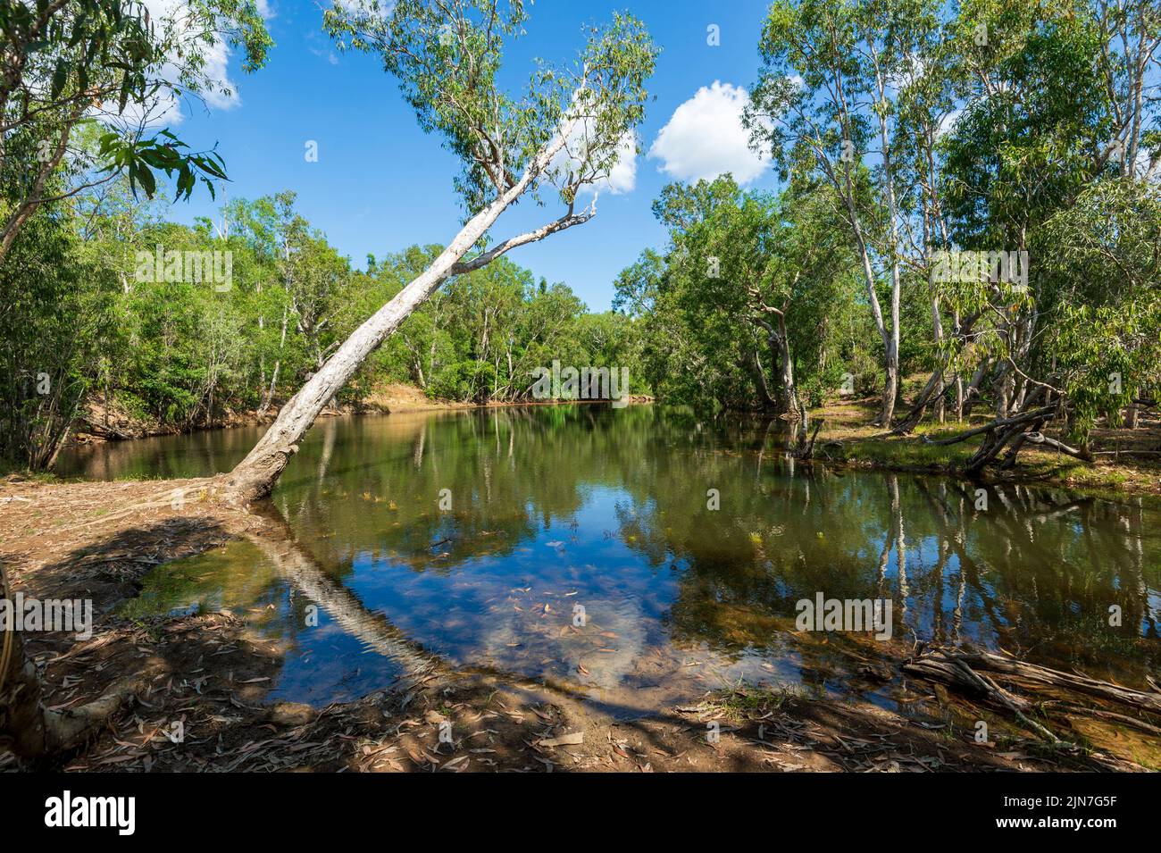 Vue panoramique sur une crique paisible au parc Tumbling Waters Holiday Park, Berry Springs, territoire du Nord, territoire du Nord, Australie Banque D'Images