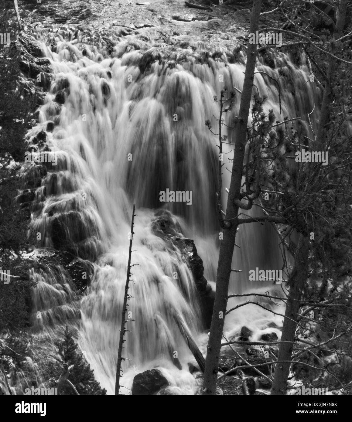 Cette image en noir et blanc de Kepler Cascades présente une cascade à plusieurs niveaux qui tombe à environ 150 pieds dans le parc national de Yellowstone, Wyoming, États-Unis. Banque D'Images