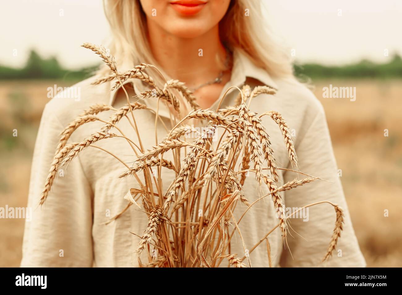 Champ de blé. Le concept de la crise alimentaire mondiale. Femme tenant des oreilles de blé dans ses mains Banque D'Images