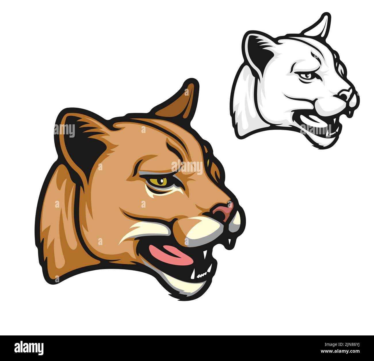 Mascotte d'animal de bande dessinée Angry puma. Tête de chat sauvage de lion de montagne américain rugissant. Équipe de sport scolaire puma mascotte, tatouage animal de lion de montagne Illustration de Vecteur